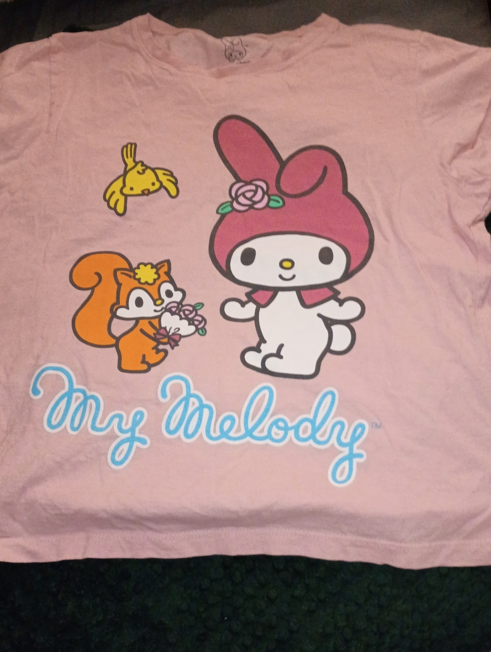 Sanrio My Melody Pink Graphic Tee with Cute Characters
